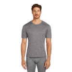 Icebreaker Bielizna T-shirt 200 Oasis SS Crewe dopasowane (wełna merino) szary mężczyźni